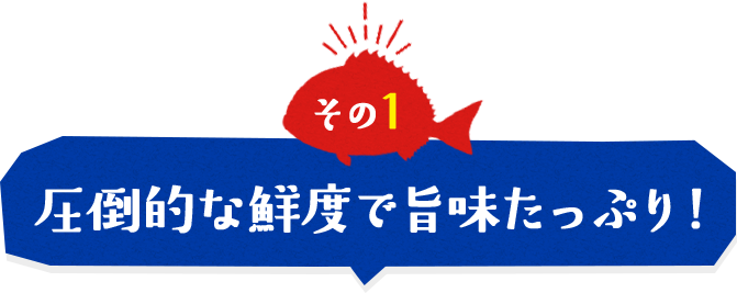 圧倒的な鮮度で旨味たっぷり!