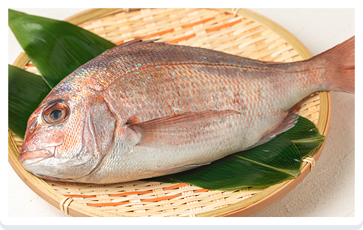 鮮魚を産地直送で届けてほしいとき
